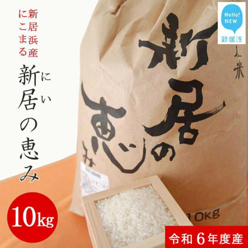 白米 新米 えひめ未来農業協同組合 ブランド米 「新居の恵み （にこまる） 令和6年度産」 10kg