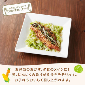 鶏ムネローストチキンよだれ鶏ソース （250gＸ8Ｐ） 鶏 鶏モモ もも肉 モモ肉 お肉 ローストチキン 中華風 ニンニクベース 惣菜 おかず パック 小分け 冷凍食品 冷凍 南丹市 京都府
