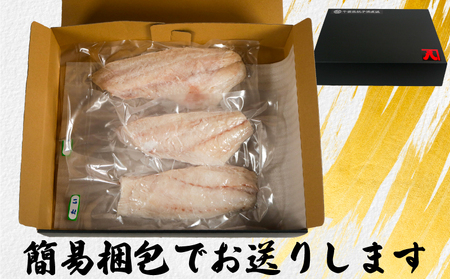真鯛 フィーレ 真鯛 1kg