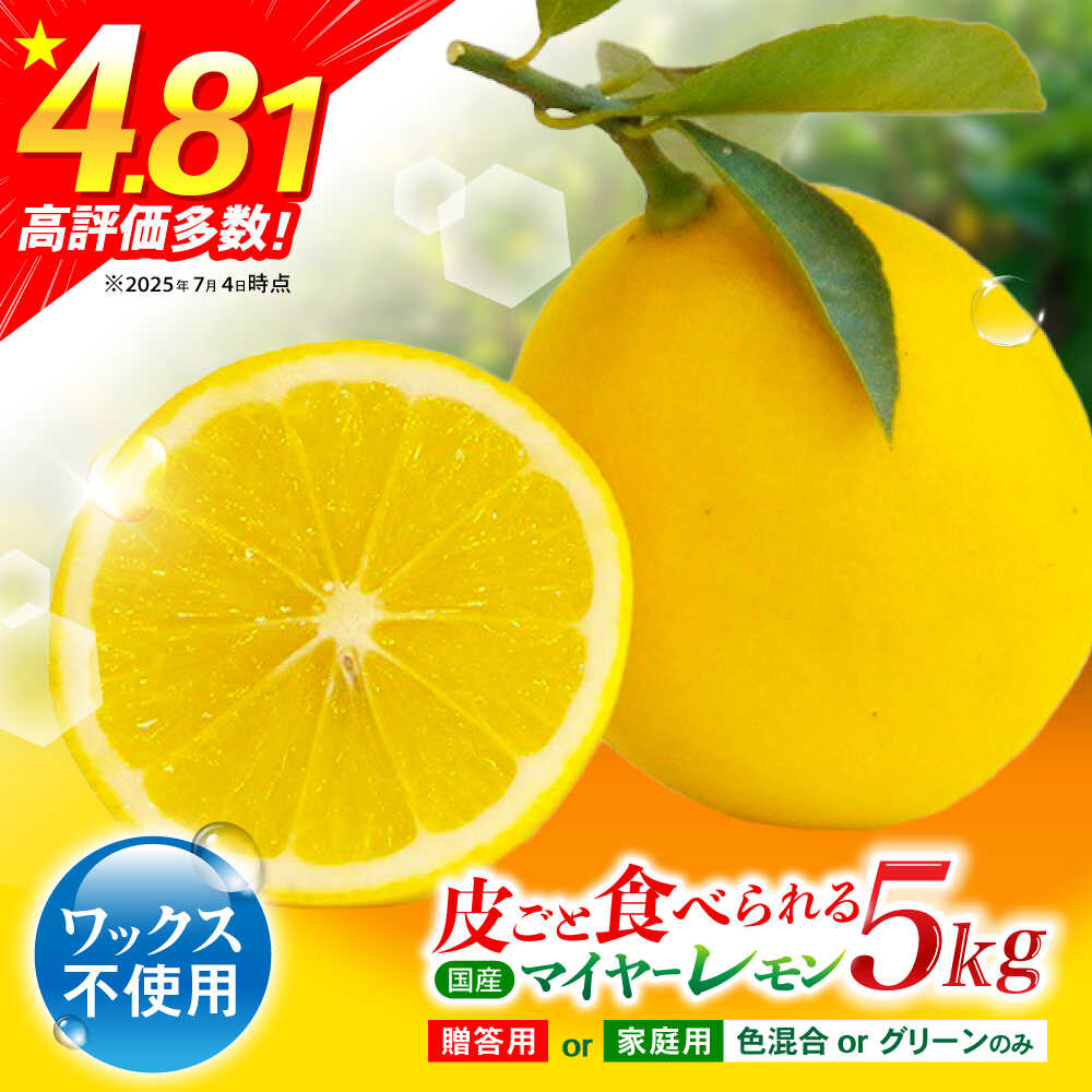 【ふるさと納税】※【2025年発送分】マイヤーレモン 5kg / レモン れもん 檸檬 柑橘 フルーツ ふるーつ 果物 くだもの / 諫早市 / 山野果樹園 [AHCF004]