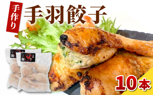 簡単 焼くだけ 揚げるだけ 手づくり 手羽餃子 2袋 10本 手羽 手羽先 餃子 ギョーザ 鶏 鶏肉 豚肉 おやつ おかず 惣菜 おつまみ 晩ごはん 東白川村 岐阜県 冷凍