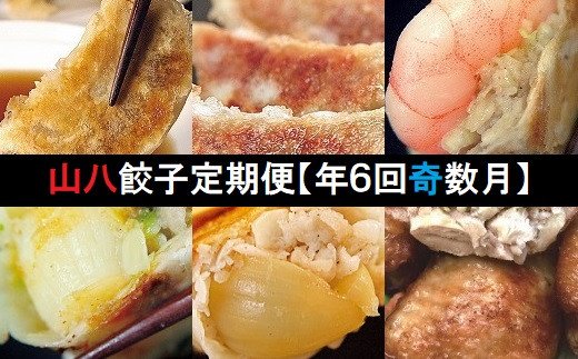 ぎょうざの山八★餃子定期便（年6回奇数月）【随時開始】[F7003]