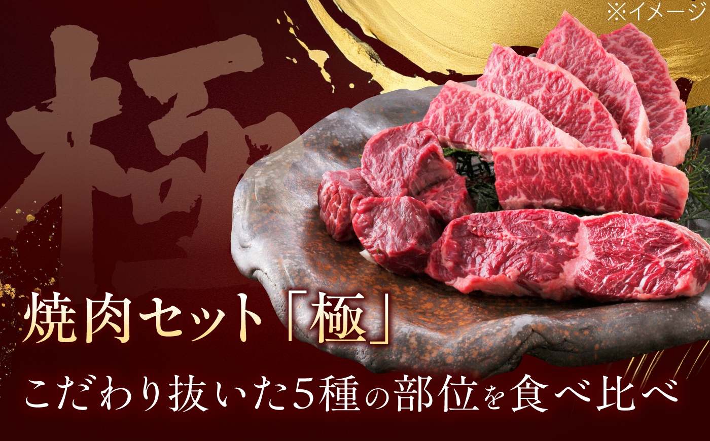 肉 牛肉 焼肉 焼き肉 ミノ ホルモン ロース ハラミ カルビ バラ セット