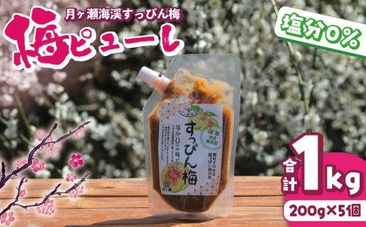 梅ピューレ 月ヶ瀬梅渓すっぴん梅 ２００ｇ×５個 塩分０パーセント 無添加 梅ピューレ  奈良県 奈良市 U-77