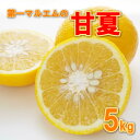 【ふるさと納税】 先行予約 甘夏 5kg 第一マルエム 減農薬 みかん 柑橘 フルーツ 愛媛みかん ポンカン 文旦 河内晩柑 温州みかん ブラッド オレンジ ネーブル せとか なつみ 蜜柑 果物 果実 ジューシー 数量限定 さっぱり 甘い 愛媛県 愛南町 発送期間: 3月中旬〜4月下旬