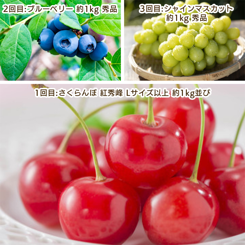 【定期便3回】やまがた　仲夏フルーツ定期便 FY25-049