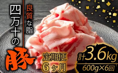 【定期便6回】高知県産 ブランドポーク 豚肉 切り落とし 計3.6kg（600g×6ヶ月連続お届け) Zコース | 肉 豚肉 国産豚肉 高知県産豚肉 豚肉 大容量 豚肉 しゃぶしゃぶ 豚肉 バラ肉 小分け 小間切れ スライス 切り落とし 冷凍 真空パック 簡単調理 細切れ 大容量 肉 高知県 須崎市 TM28000