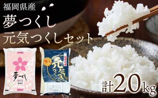 【令和5年産】福岡県産米食べ比べ＜白米＞セット「夢つくし」と「元気つくし」2種類　各10kg（5kg×2袋）計20kg【米 ブランド米 ブランド 白米 元気つくし 夢つくし 食べ比べ 令和5年産 家庭