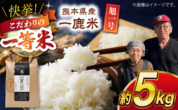 
            【先行予約】【天日塩を使用】一鹿米 旭一号 白米 5kg【株式会社 夢アグリ】おこめ 米 お米 ごはん 精米 熊本  [ZCL005]
          