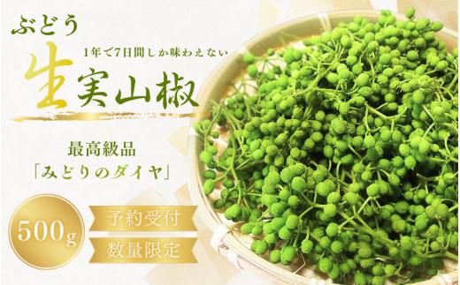 【先行予約】 ぶどう生山椒 500g  【2026年5月中旬から5月下旬にお届けいたします】/山椒 さんしょう 生山椒 生さんしょう 調味料 スパイス 香辛料 山椒の実 山椒の実生 実【twn007A】
