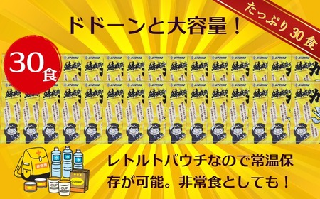 銚電 鯖威張るカレー 30食 レトルトカレー 銚子電気鉄道