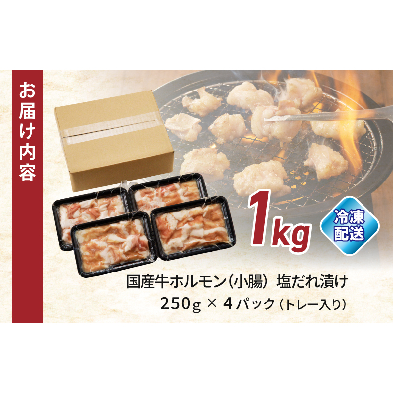 国産 牛肉 ホルモン 1kg 塩だれ漬け 焼肉用 小分け 250g×4P 010B1513_イメージ5