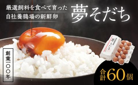 H-56 創業100年の藤橋商店が育んだ「夢そだち(60個）」厳選飼料を食べて育った自社養鶏場の新鮮卵を♪