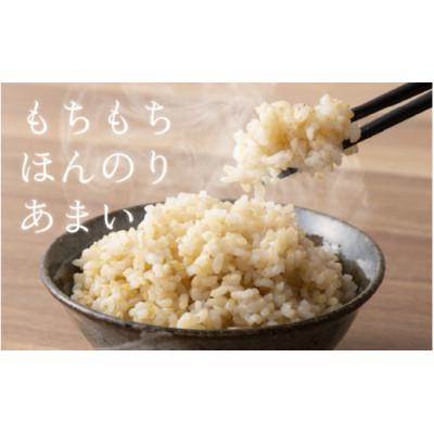 ふるさと納税 滑川市 【毎月定期便】ほたるいか米　玄米　5kg全3回 |  | 02