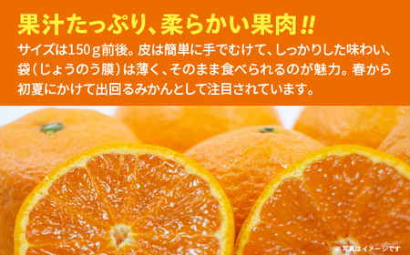 南津海（なつみ）みかん 2.5kg _b-500