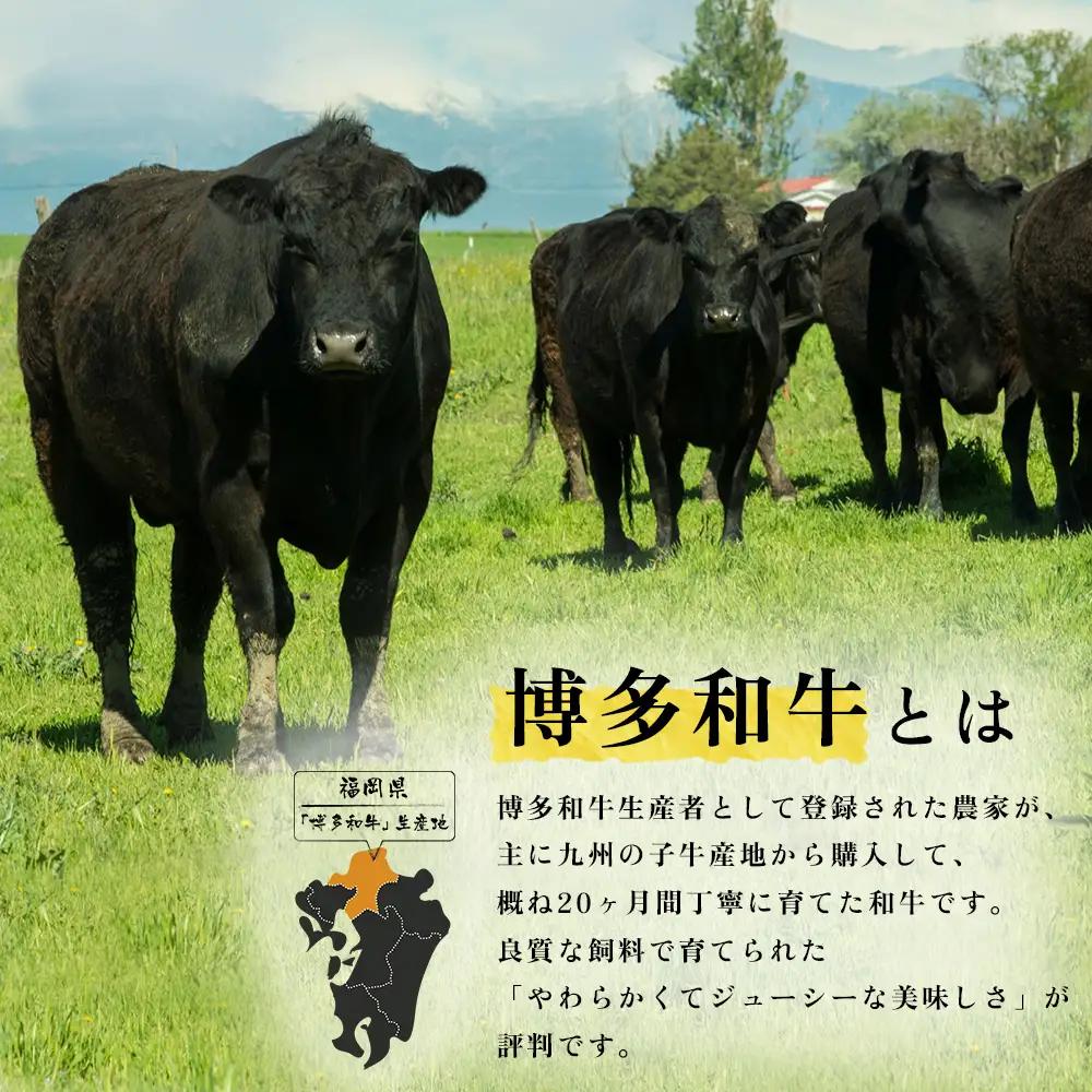 【福岡県産】 博多和牛切り落とし 1.6kg 2J2