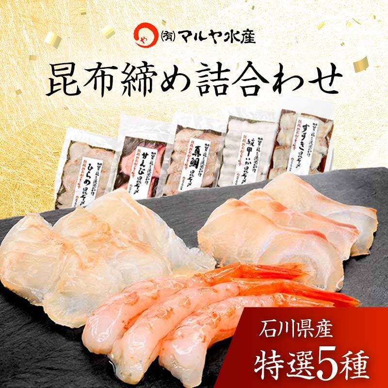 昆布締め詰合せ おまかせ5種 無添加 昆布締め 刺身 おまかせ セット 詰合せ 真空包装 おつまみ 肴 海産物 海の幸 魚介 国産 食品 復興 震災 コロナ 能登半島地震復興支援 北陸新幹線 F6P-