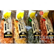 まるでパスタな米粉麺　フィジリ4種類セット50g×4袋(にんじん・トマト・カボチャ・ほうれんそう)