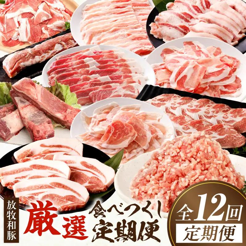 【全12回】《放牧和豚》厳選食べつくし定期便 豚 豚肉 ロース トンテキ スライス 肩ロース ロース スライス 焼肉 焼き肉 バラスライス バラ肉 しゃぶしゃぶ モモ肉 薄霧 すき焼き ミンチ 挽肉 挽き肉 ひき肉 こま 豚こま スペアリブ ヒレ 豚ヒレ