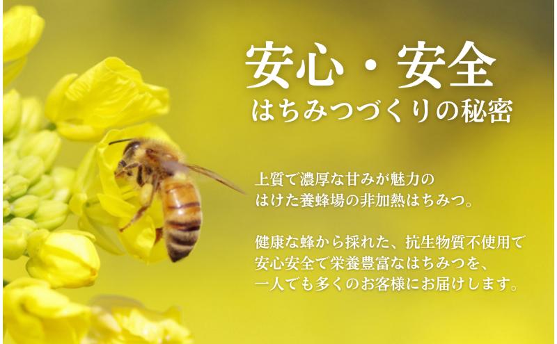 国産 生はちみつ 300g 2本セット 百花 くり セット 詰め合わ