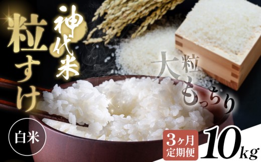 【3ヶ月定期便】米 白米 神代米 粒すけ 令和7年産 10kg×3回 ぜん兵衛。《お申込み翌月から出荷》千葉県 東庄町 送料無料 こめ コメ ごはん ご飯 お取り寄せ