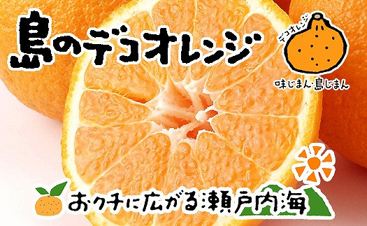 
【2025年4月上旬から発送予定】不知火 しらぬい 4kg 12玉 ~ 26玉 ( M ~ 3L ) 特選品 期間限定 愛媛県産 みかん
