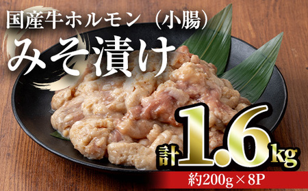 国産牛 ホルモン 牛肉 小腸 みそ漬け (計1.6kg・約200g×8パック) 【おきどき】A886