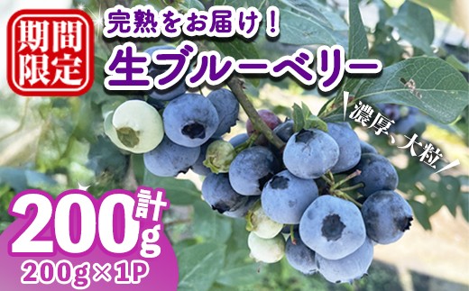 
                  ＜先行予約受付中！2026年6月下旬以降順次発送予定＞完熟ブルーベリー 200g （200g×1パック） ブルーベリー 果物 フルーツ 青果物 冷蔵 スムージー ヨーグルト おやつ 【常陸太陽の庭】【ho1673】
                