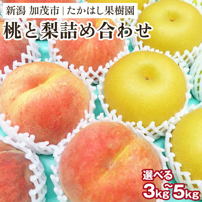 【ふるさと納税】【2025年先行予約】たかはし果樹園 謹製 桃と梨の内容おまかせ詰め合わせ 選べる3〜5kg《8月中旬から発送》 新潟県産 果物 フルーツギフト 秋の味覚 産地直送 加茂市 たかはし果樹園