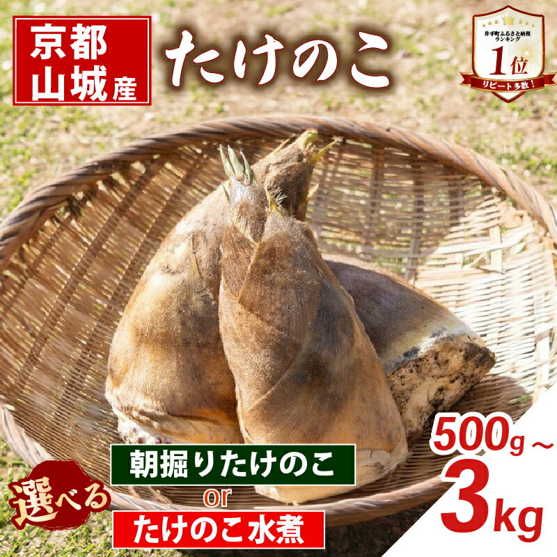 【ふるさと納税】 【京都山城産】 選べる 朝掘りたけのこ / たけのこ水煮 缶詰 筍 竹の子 白子筍 京都 山城 産 京たけのこ 国産 京野菜 野菜 国産 炊き込みご飯 煮物 小分け まとめ買い 常温保存 井手町