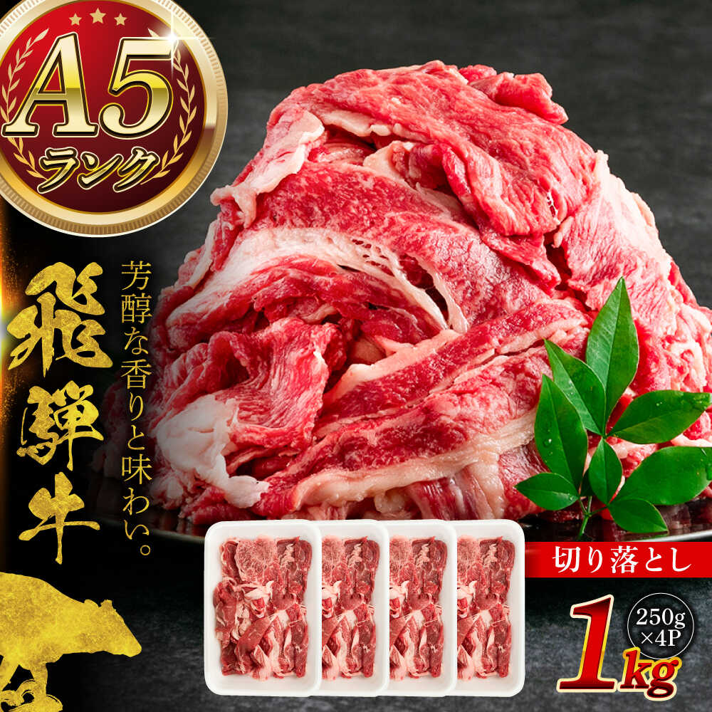 【ふるさと納税】A5等級 飛騨牛 切り落とし 1kg (250g×4P) 瑞浪市 / マルチョウ渡辺精肉店 牛肉 和牛 国産 ギフト お取り寄せ[AZCW002]