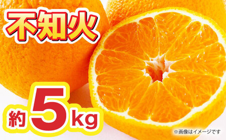 先行予約 不知火 約5kg不知火はデコポンと同品種ZBG010