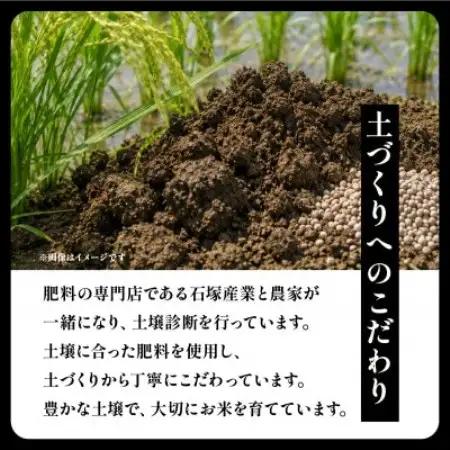 【毎月定期便】茨城県産 コシヒカリ 精米 10kg | こしひかり 茨城県かすみがうら市全3回【4094324】