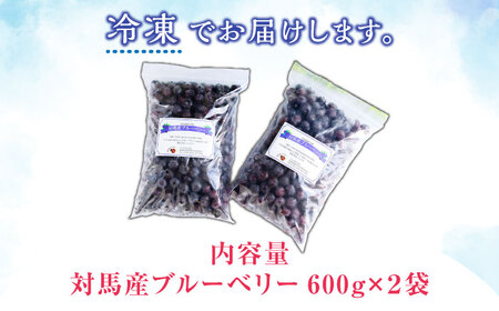 【先行予約】大容量 対馬産 ブルーベリー 1.2kg（ 冷凍 ） [WBG001] 果物 フルーツ ベリー 冷凍 ブルーベリー旬 ブルーベリー