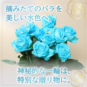 水色 バラ 花束 10本 薔薇 花束 花束 花束 花束 ブーケ G07_01