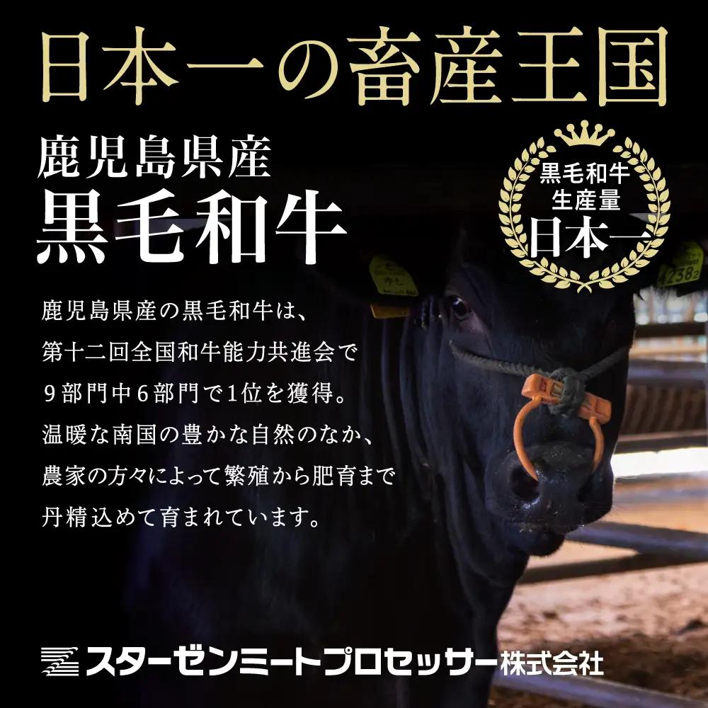【定期便】◆人気の返礼品を3回お届け◆ 鹿児島県産 黒毛和牛 赤身ももスライス 600g×3回 (合計1.8kg) 冷凍 しゃぶしゃぶ すきやき スターゼン 南さつま市