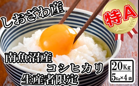 【令和7年産】【生産者限定 契約栽培】南魚沼しおざわ産コシヒカリ20kg（５kg×4袋）【2025年10月上旬より順次発送予定】