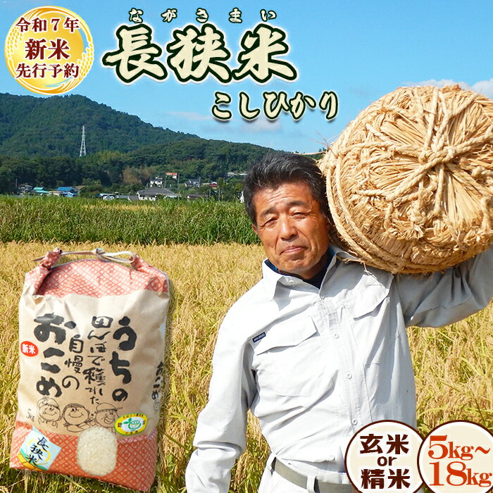 【ふるさと納税】《令和7年産 新米 先行予約》田代農園『長狭米コシヒカリ（一等米）』 選べる 玄米／精米 5kg～18kg　[0015-0062]