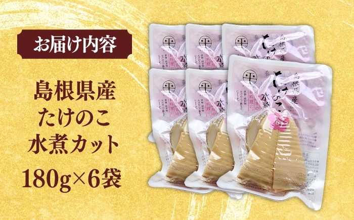 たけのこ 筍 春 炊き込み ご飯 水煮 旬 てんぷら