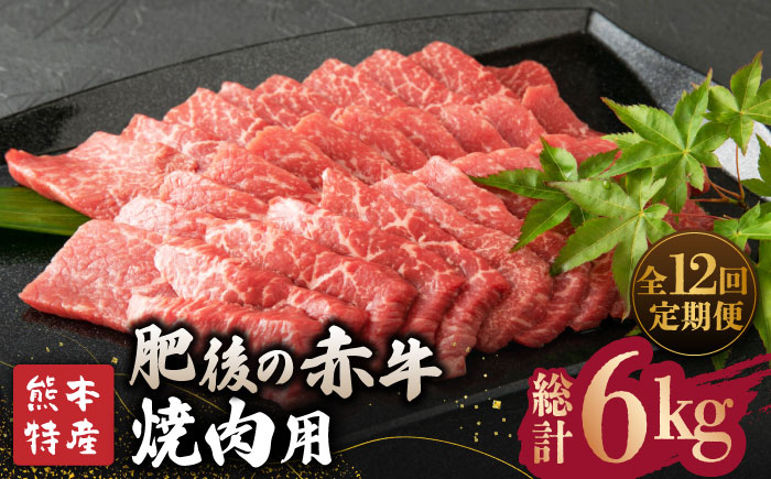 
【全12回定期便】【数量限定】肥後の赤牛 焼肉 用約500g【山鹿食品企画】 焼き肉用 焼肉 焼き肉 熊本県産 くまもと 熊本 数量限定 特産品 牛肉 [ZBO019]
