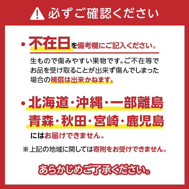 【ハウス栽培】朝もぎ フレッシュな完熟いちじく 碧南市 にいみ農園 フルーツ いちじく トマト農家 H031-006