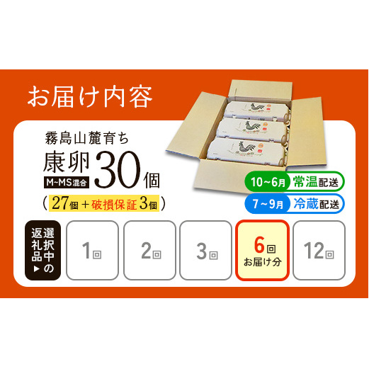 卵【6回定期便】霧島山麓育ち こだわり卵 康卵 計 30個（27個 + 割れ保証 3個）6回 計 180個（162個 + 割れ保証 18個）たまご 玉子 卵焼き 玉子焼き たまご焼き 生卵 鶏卵 たま