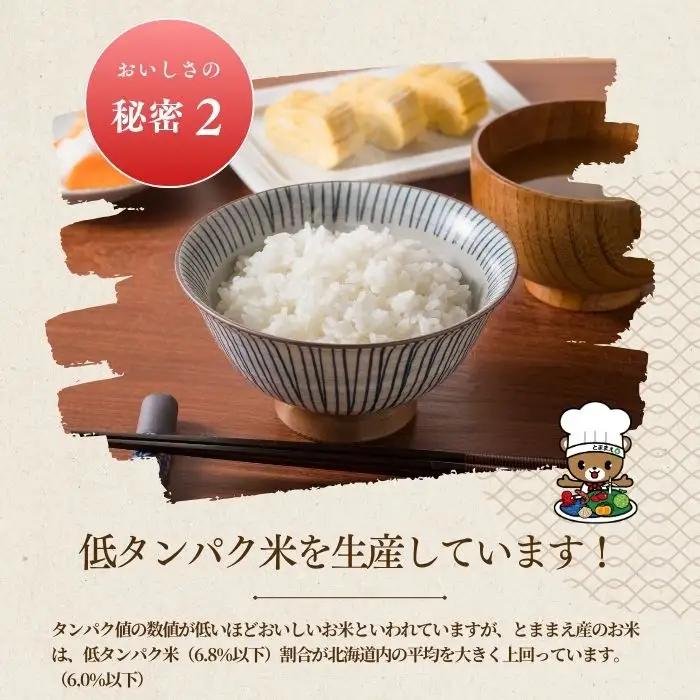 令和7年産 北海道とままえ産 ゆめぴりか 5kg 【定期便 12か月】 米 お米 北海道産 北海道米 特Aランク 国産 白米 コメ 北海道 苫前町 とままえ rum32