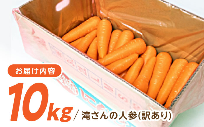 ※【2026年11月下旬より順次発送／先行予約】【訳あり】滝さんの人参 10kg / にんじん ニンジン 人参 キャロット きゃろっと やさい 野菜 訳あり 訳アリ わけあり ワケアリ / 諫早市 / 滝商店株式会社 [AHCU005]