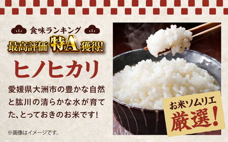 令和6年産新米 お米 ヒノヒカリ 20kg（10kg×2袋）米・食味鑑定士×お米ソムリエ×白米ソムリエ お米 新米 おこめ 白米 ごはん 愛媛県産お米 大洲市/稲工房案山子[AGAV013]