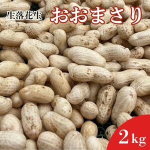 《先行予約》落花生　おおまさり　2kg