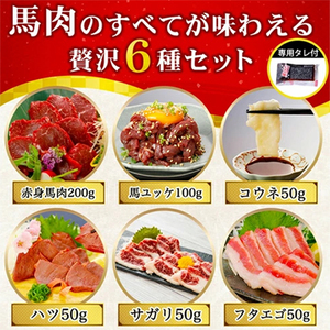 【令和7年12月出荷分】馬肉 盛り合わせ 6種 500g 特許製法 氷温熟成 低温調理 レア 赤身 フタエゴ ハツ サガリ ユッケ コウネ 小分け 焼くだけ簡単 専用醤油 タレ付 真空パック 熊本 小