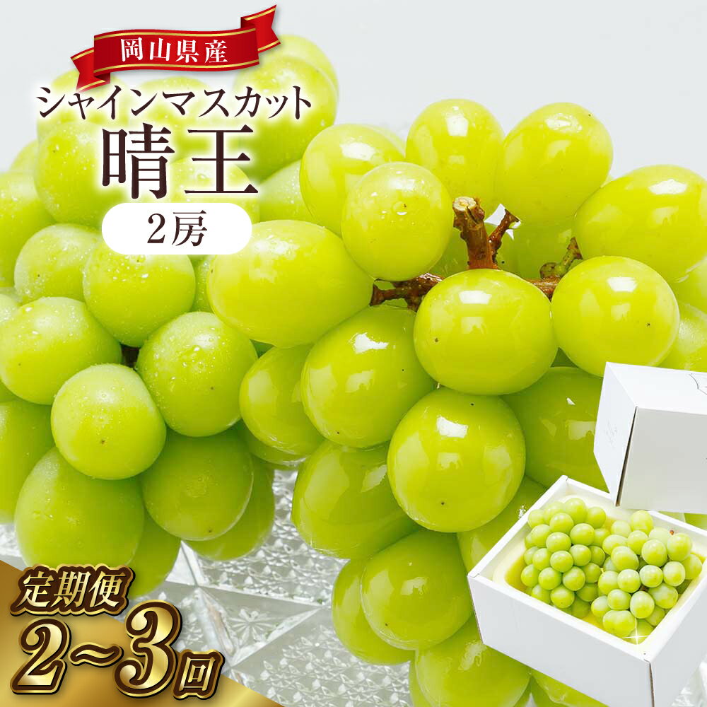 【ふるさと納税】＜選べる定期便＞ぶどう 定期便 2025年 先行予約 シャイン マスカット 晴王 各月2房（1房600g以上）《2回／3回 定期便》葡萄 岡山県産 フルーツ ギフト　 果物 ぶどう フルーツ 種なし 皮ごと 甘い 大粒 【2025年8月～順次発送予定】