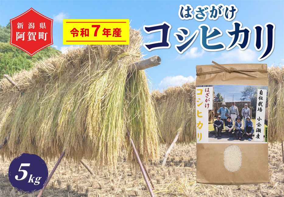 
                  《令和7年産米》 越後奥阿賀産はざがけ（天日干し）コシヒカリ　5kg（1袋）
                