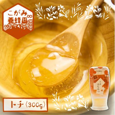ふるさと納税 飛騨市 トチ蜜 300g[Q1197]